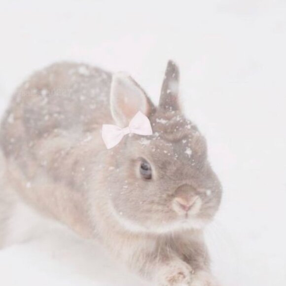 Meet your Posher, Ooper - Picture 1 of 1